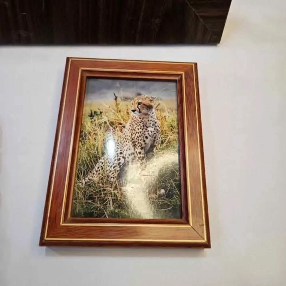 Assorted Decorative Picture Frame Set - 4 Pieces